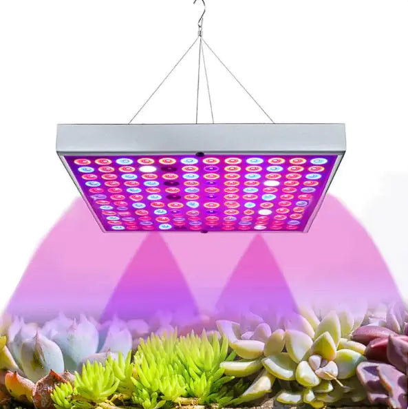 LED-groeilicht voor planten