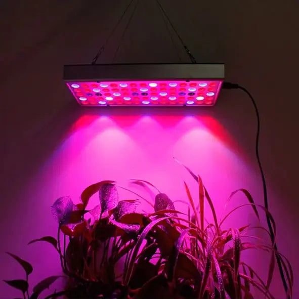 LED-groeilicht voor planten