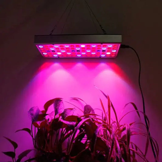LED-groeilicht voor planten